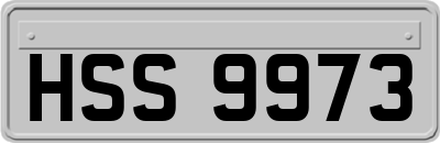 HSS9973