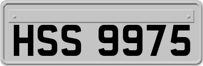 HSS9975