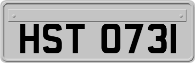 HST0731