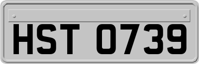 HST0739