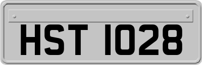 HST1028