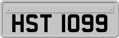 HST1099