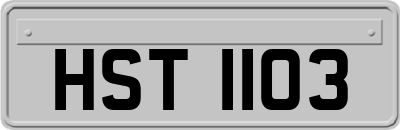 HST1103