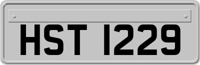 HST1229