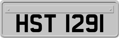 HST1291