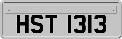 HST1313