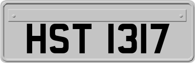 HST1317