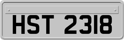 HST2318