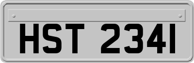 HST2341