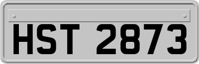HST2873