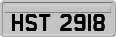HST2918