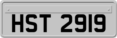 HST2919
