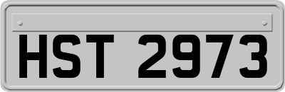 HST2973