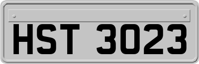HST3023