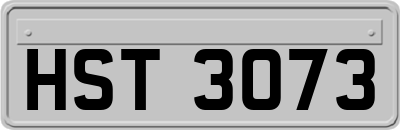 HST3073