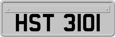 HST3101