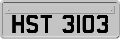 HST3103