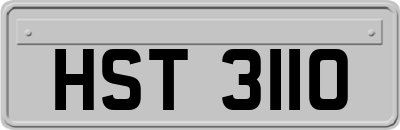 HST3110