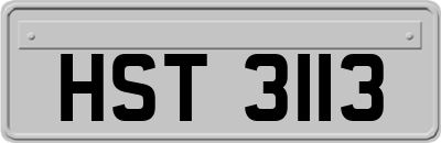 HST3113