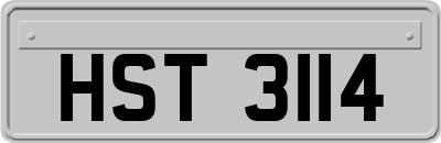 HST3114