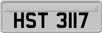 HST3117