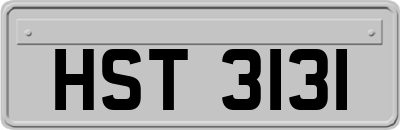HST3131