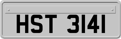 HST3141