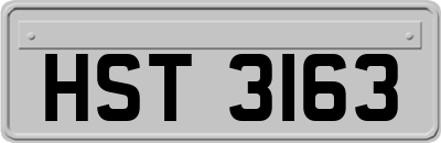 HST3163