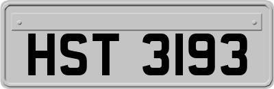 HST3193