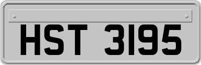 HST3195