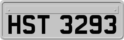 HST3293