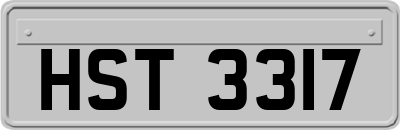 HST3317