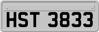 HST3833