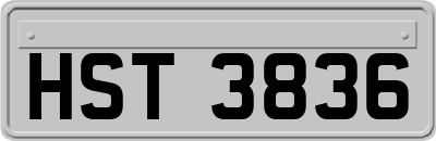 HST3836