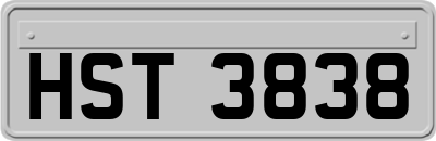 HST3838
