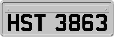 HST3863