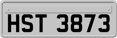 HST3873
