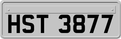 HST3877