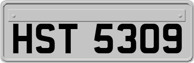HST5309