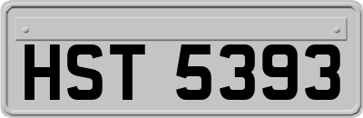 HST5393
