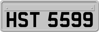 HST5599