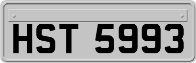 HST5993