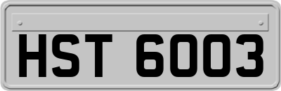 HST6003