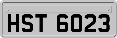 HST6023
