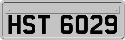HST6029