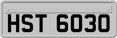 HST6030