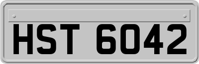 HST6042