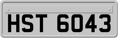 HST6043