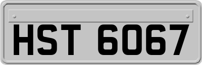 HST6067