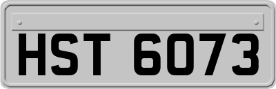 HST6073